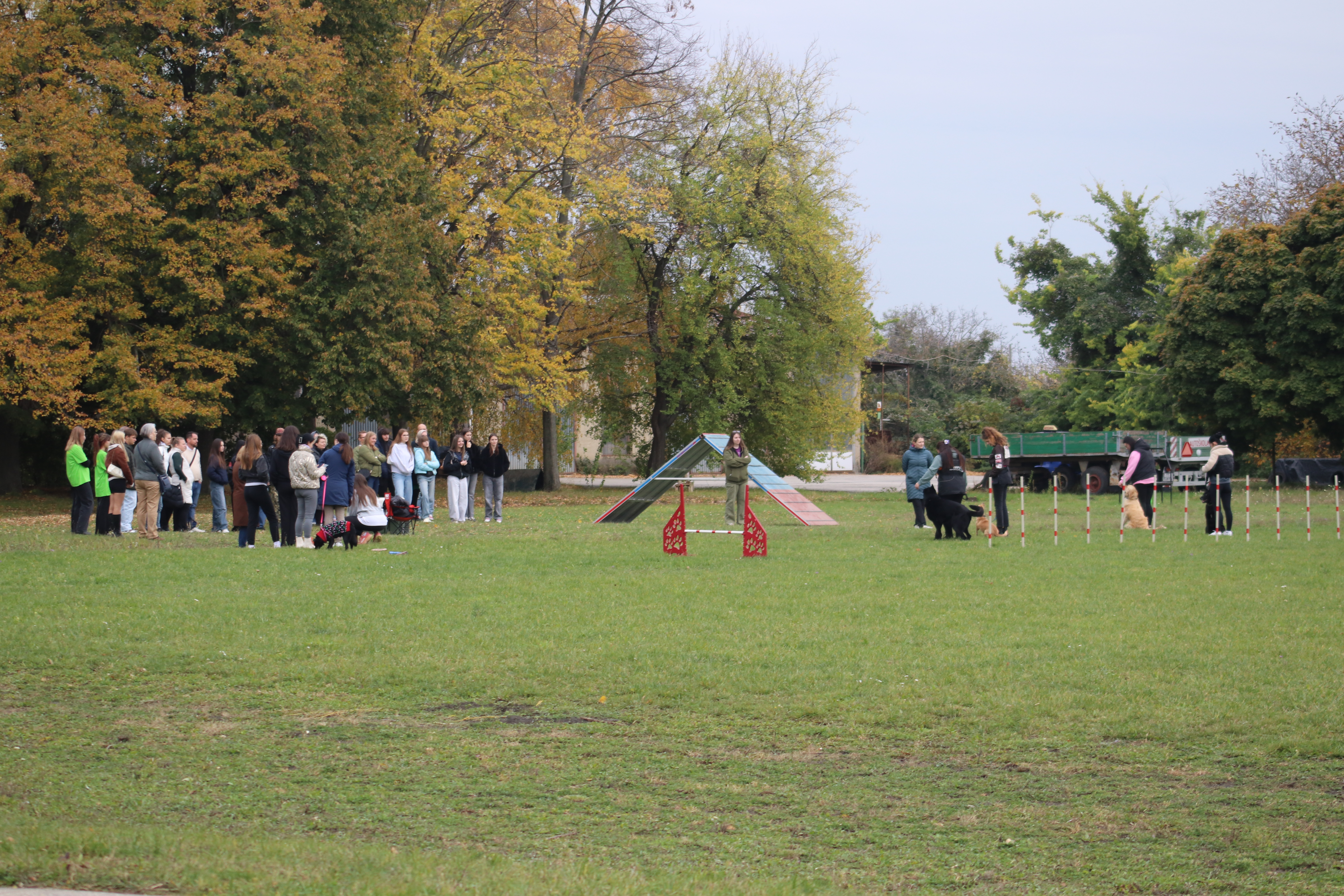 Obrázok galérie článku