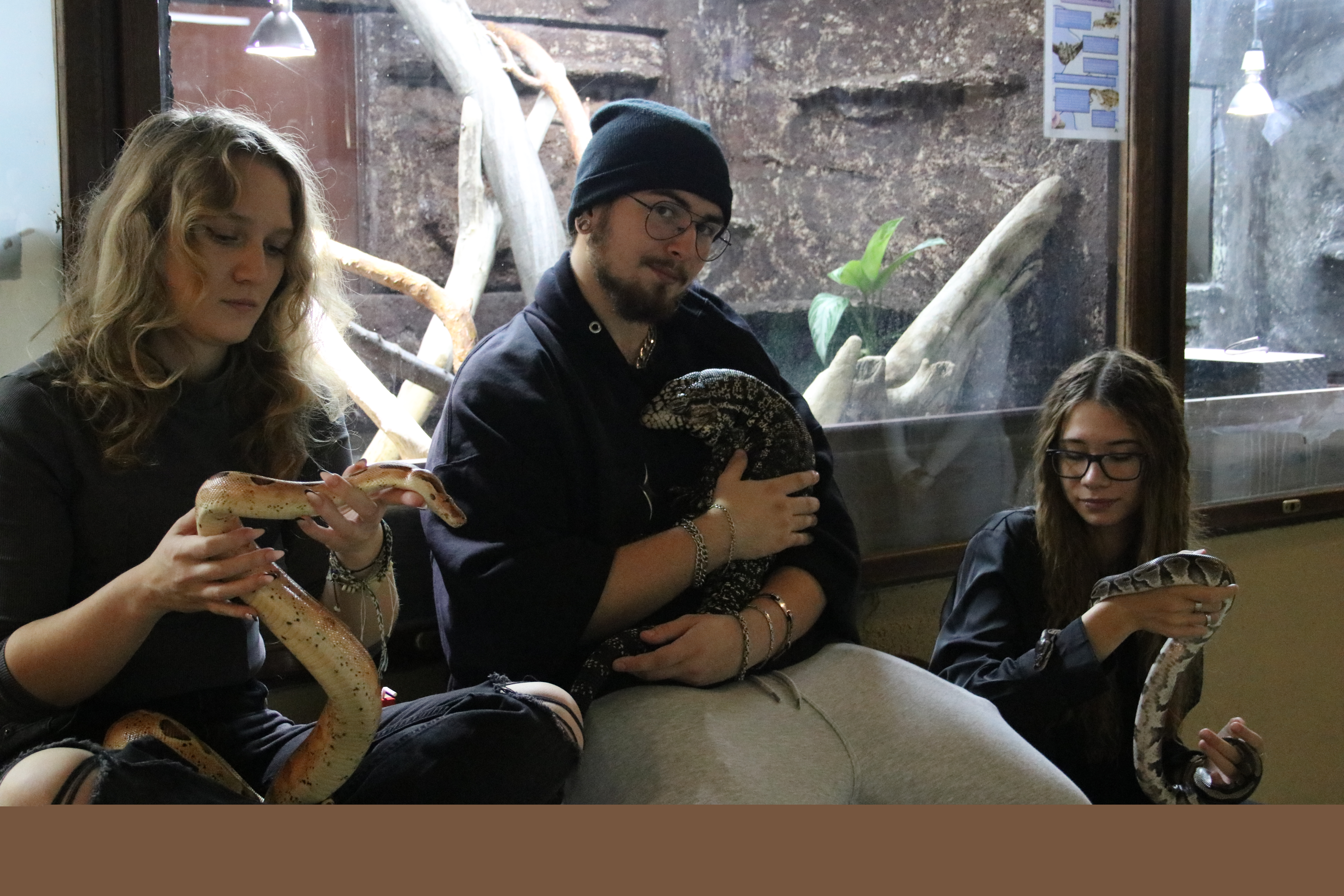 Obrázok galérie článku