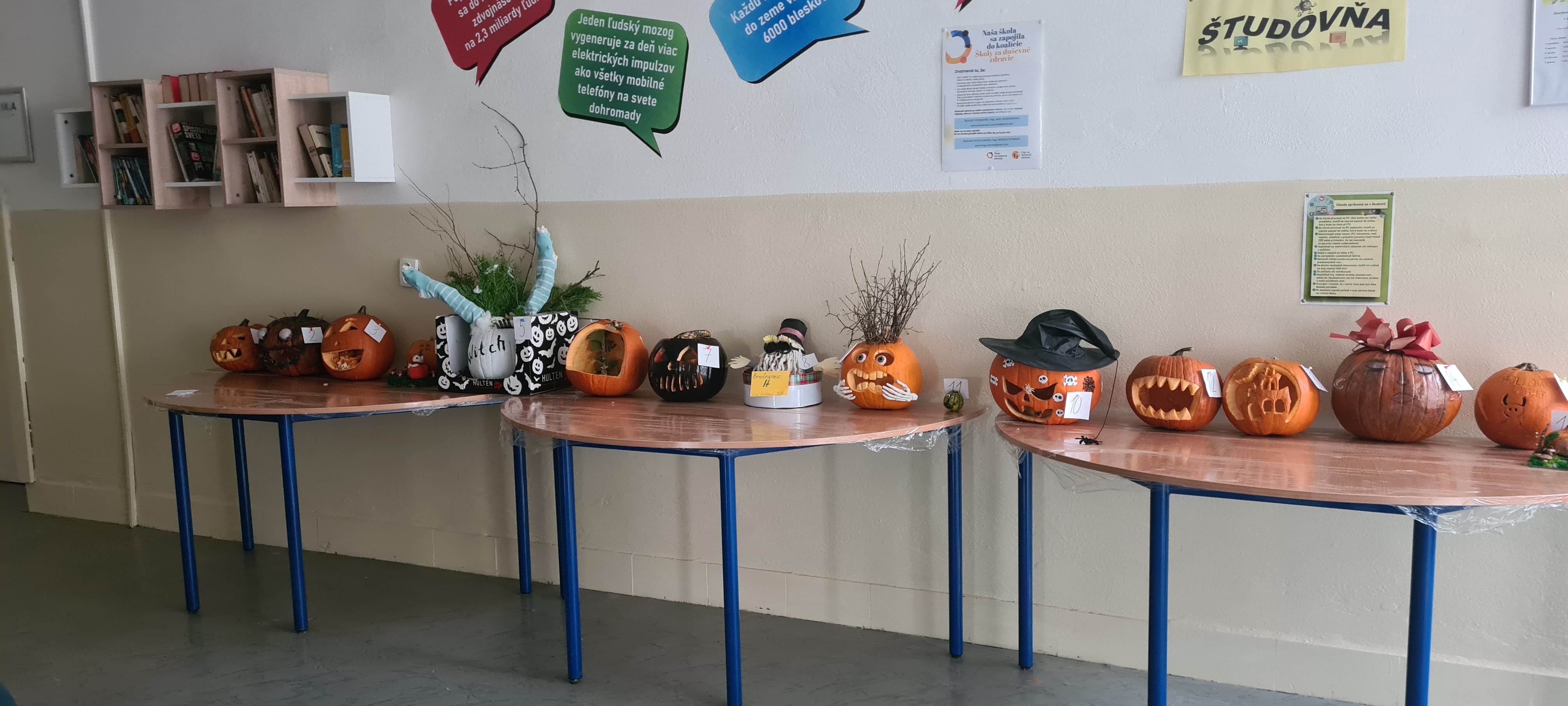 Obrázok galérie článku