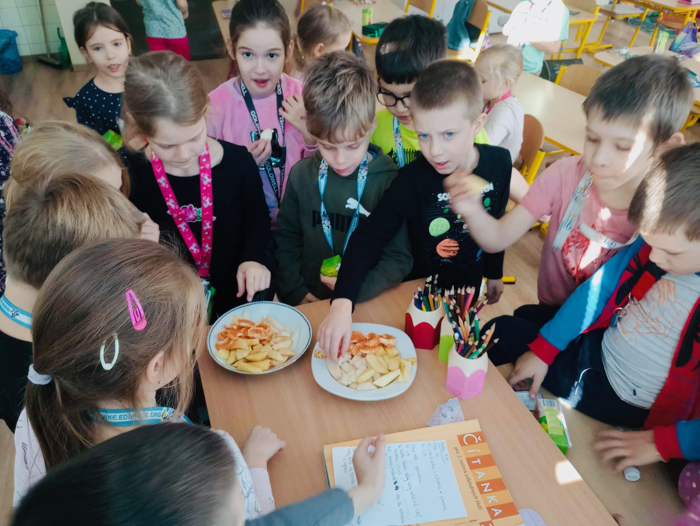 Obrázok galérie článku