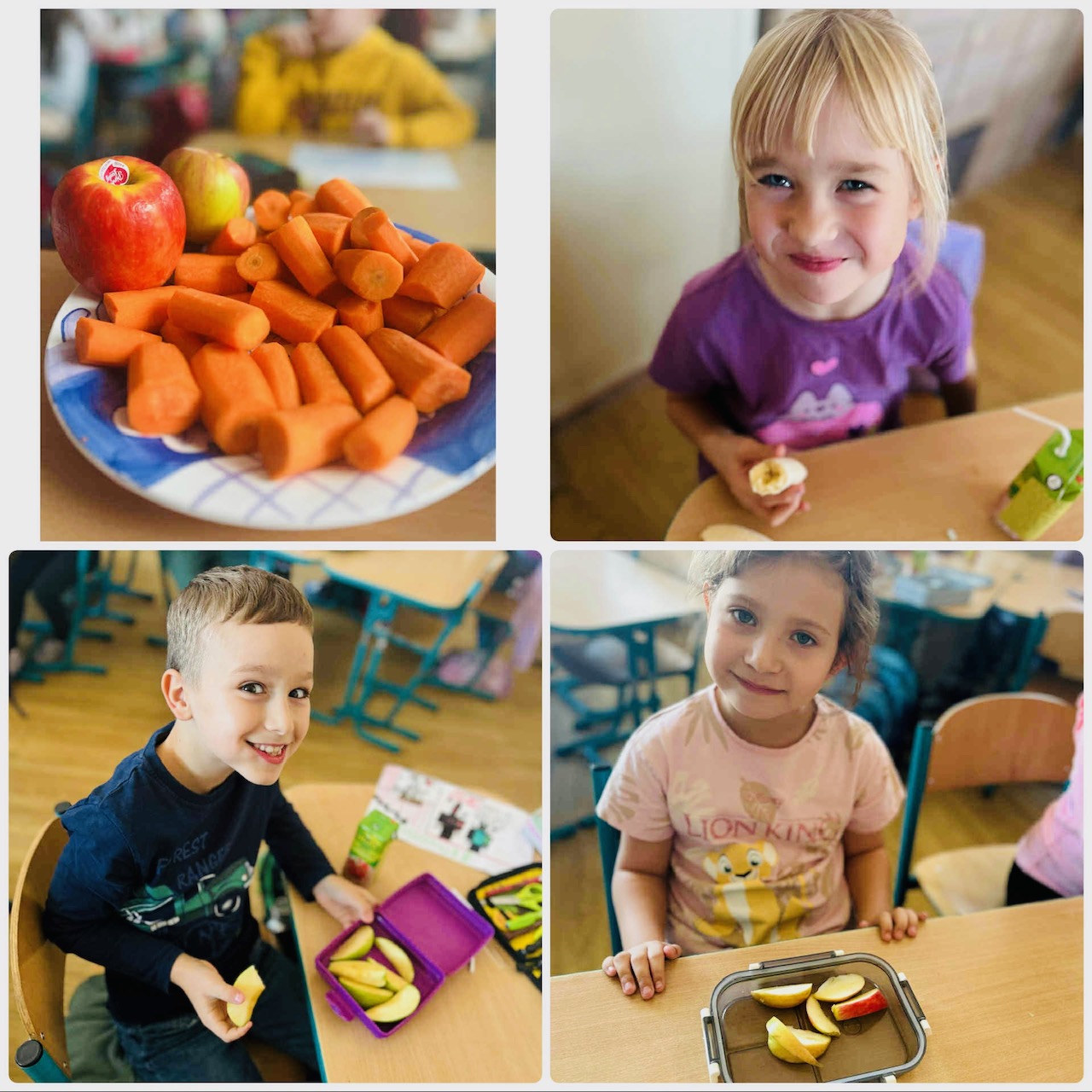 Obrázok galérie článku