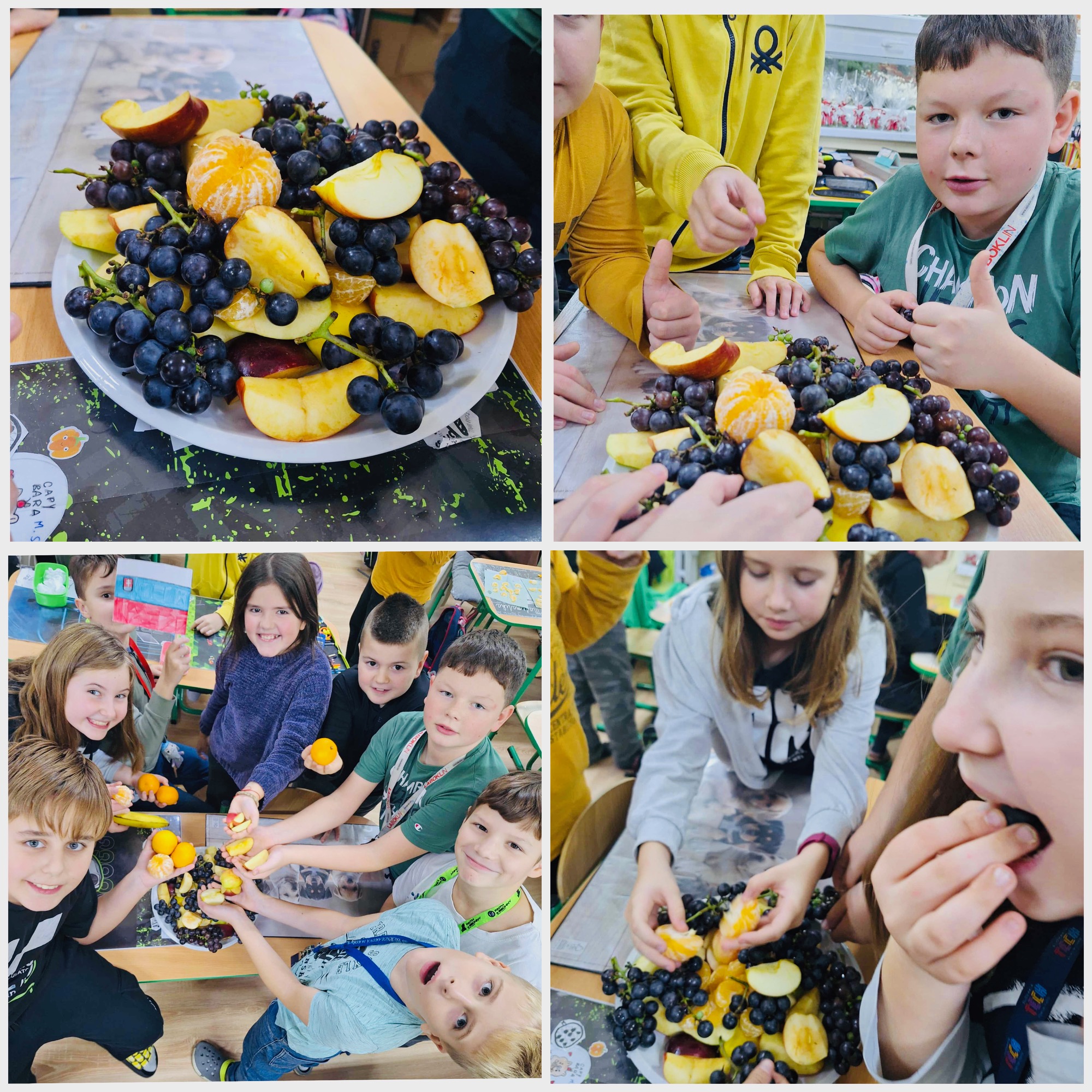 Obrázok galérie článku