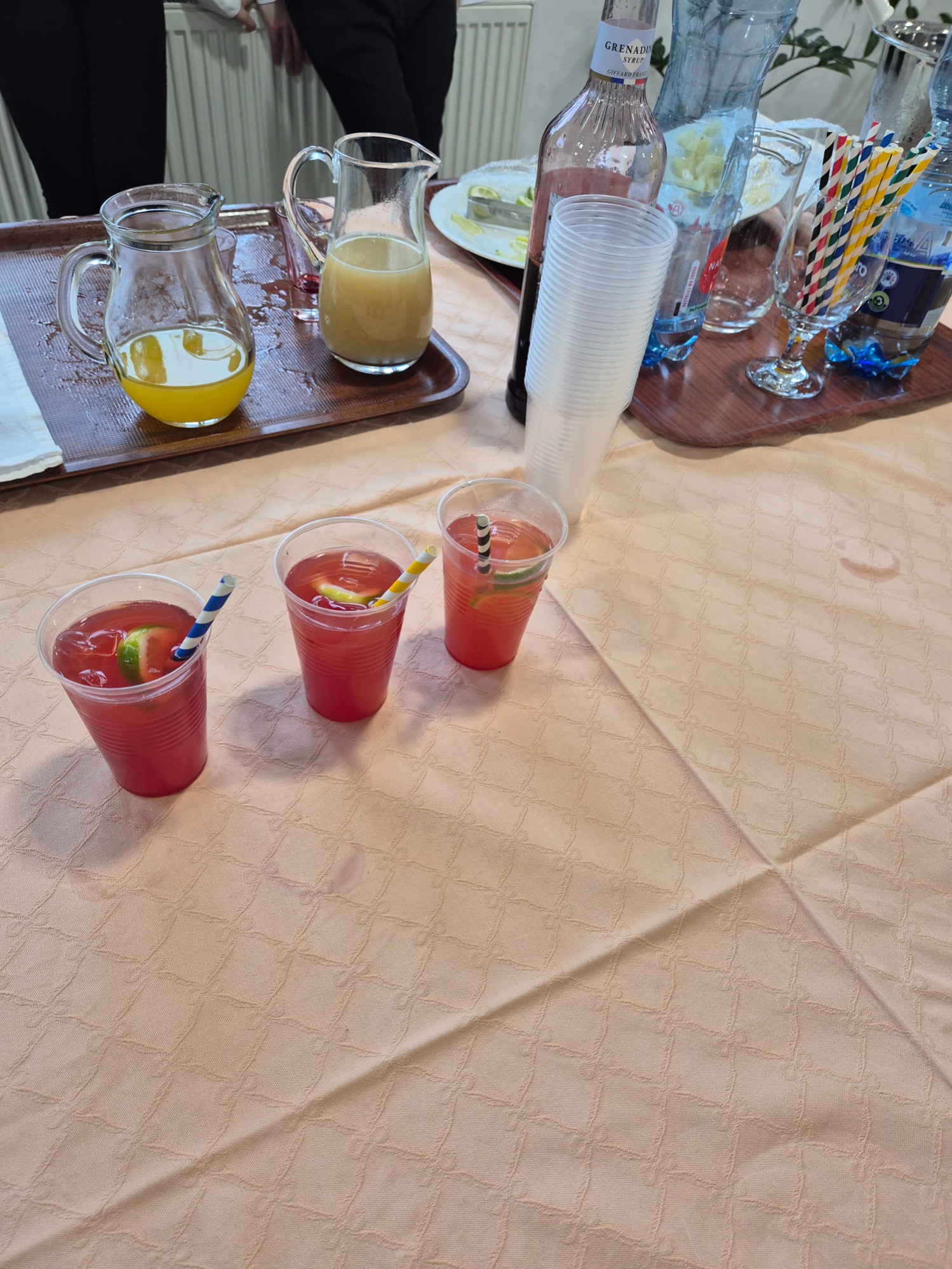 Obrázok galérie článku