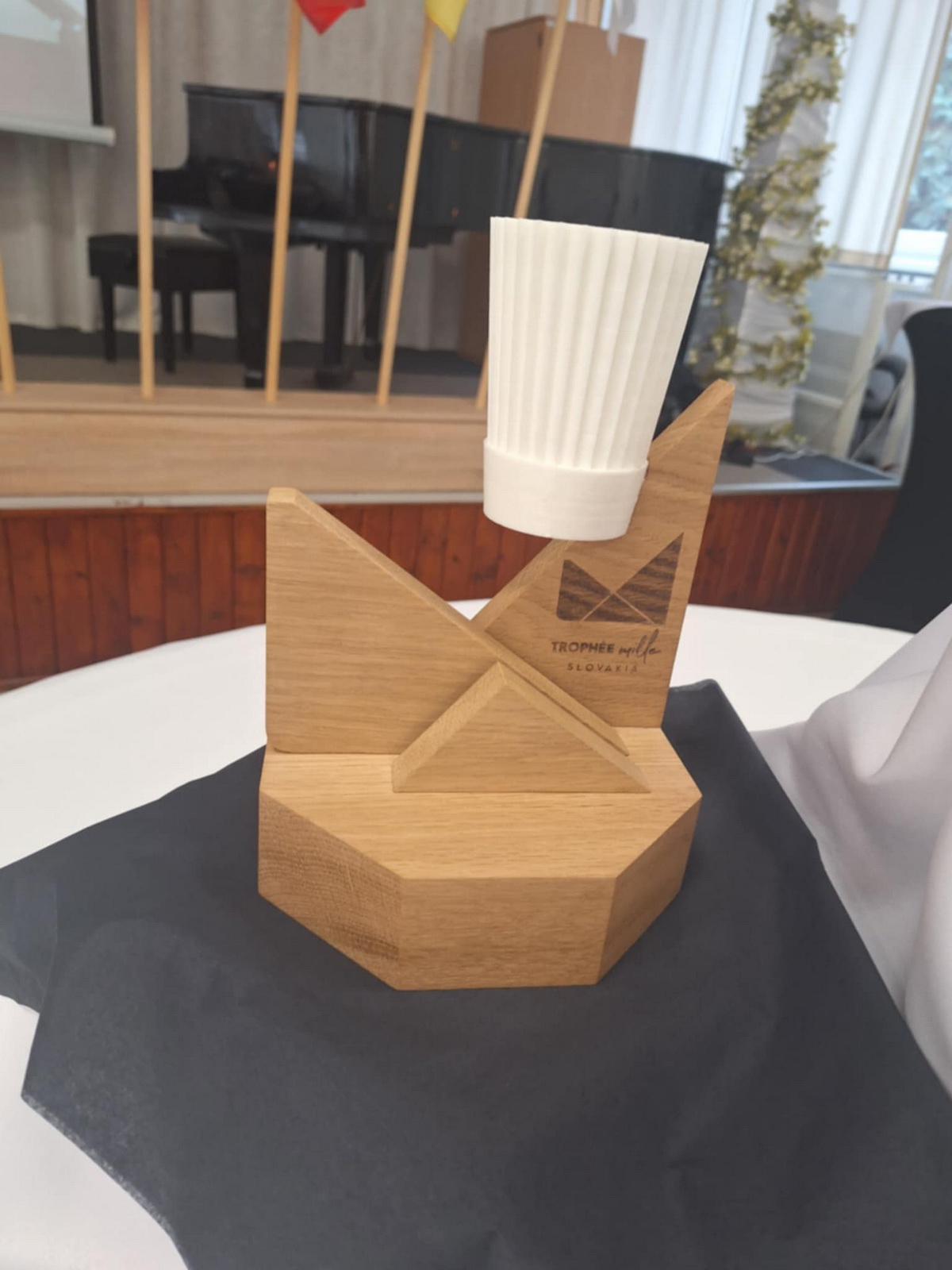 Obrázok galérie článku