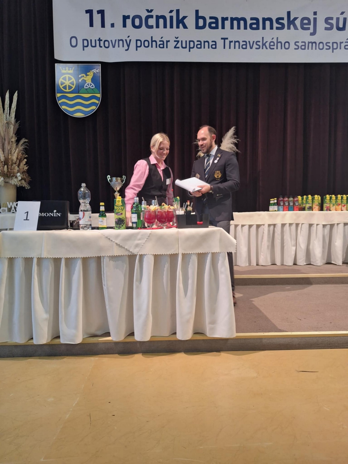 Obrázok galérie článku