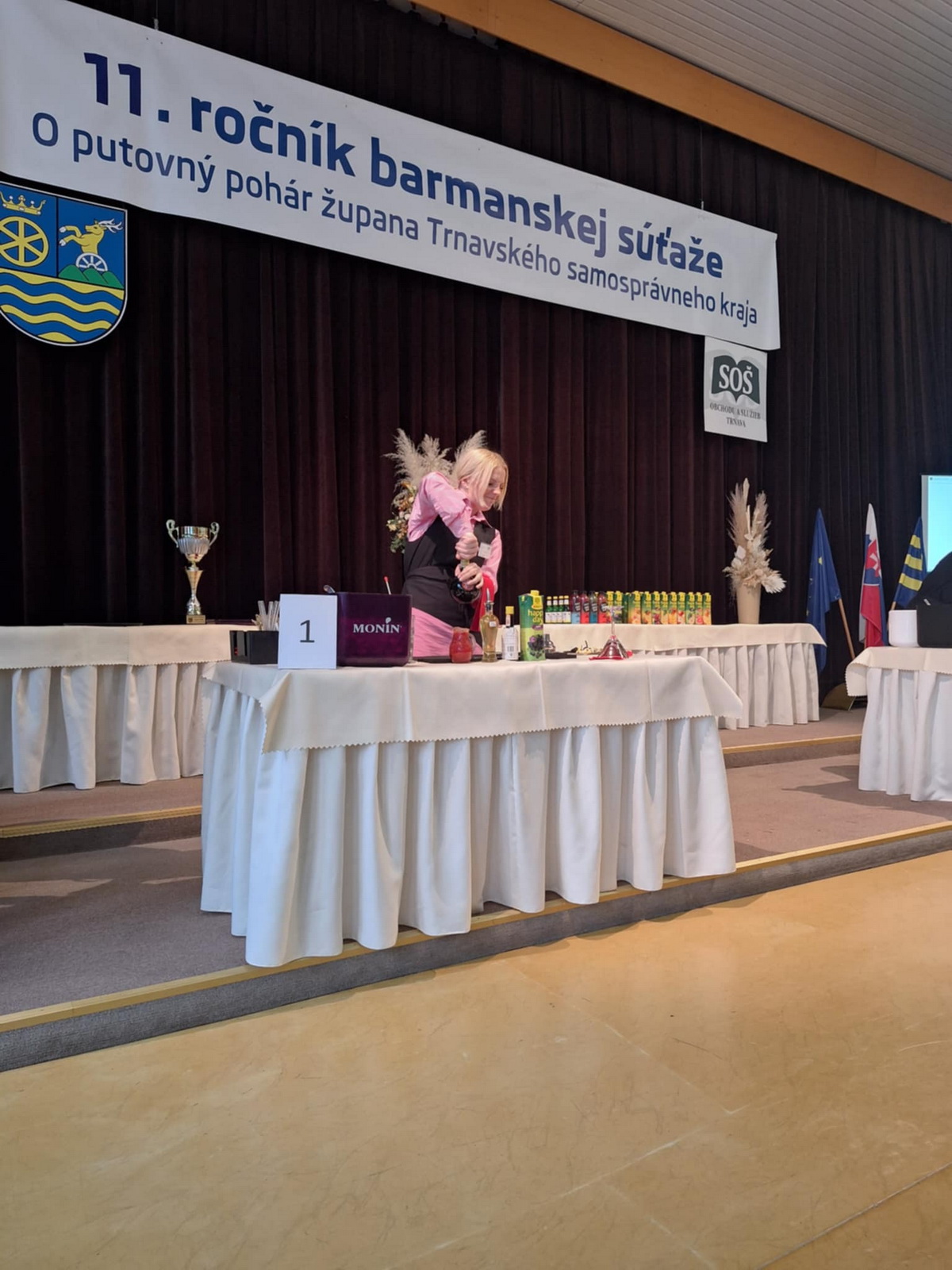 Obrázok galérie článku