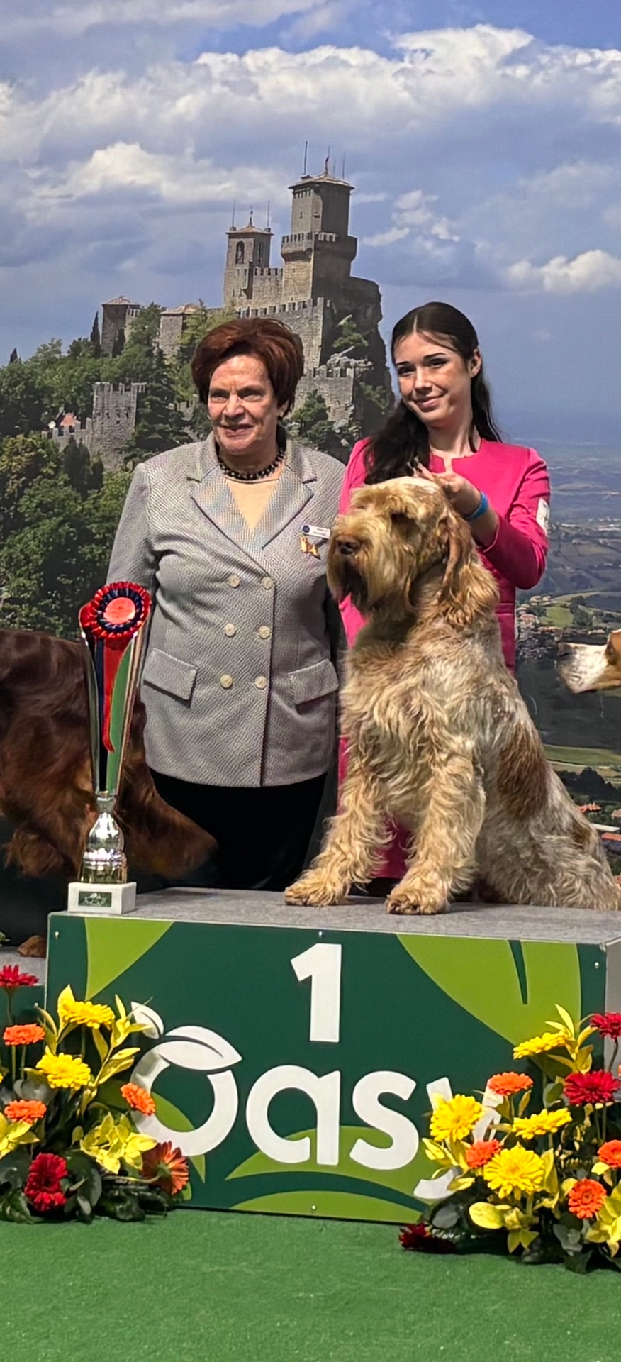 Obrázok galérie článku