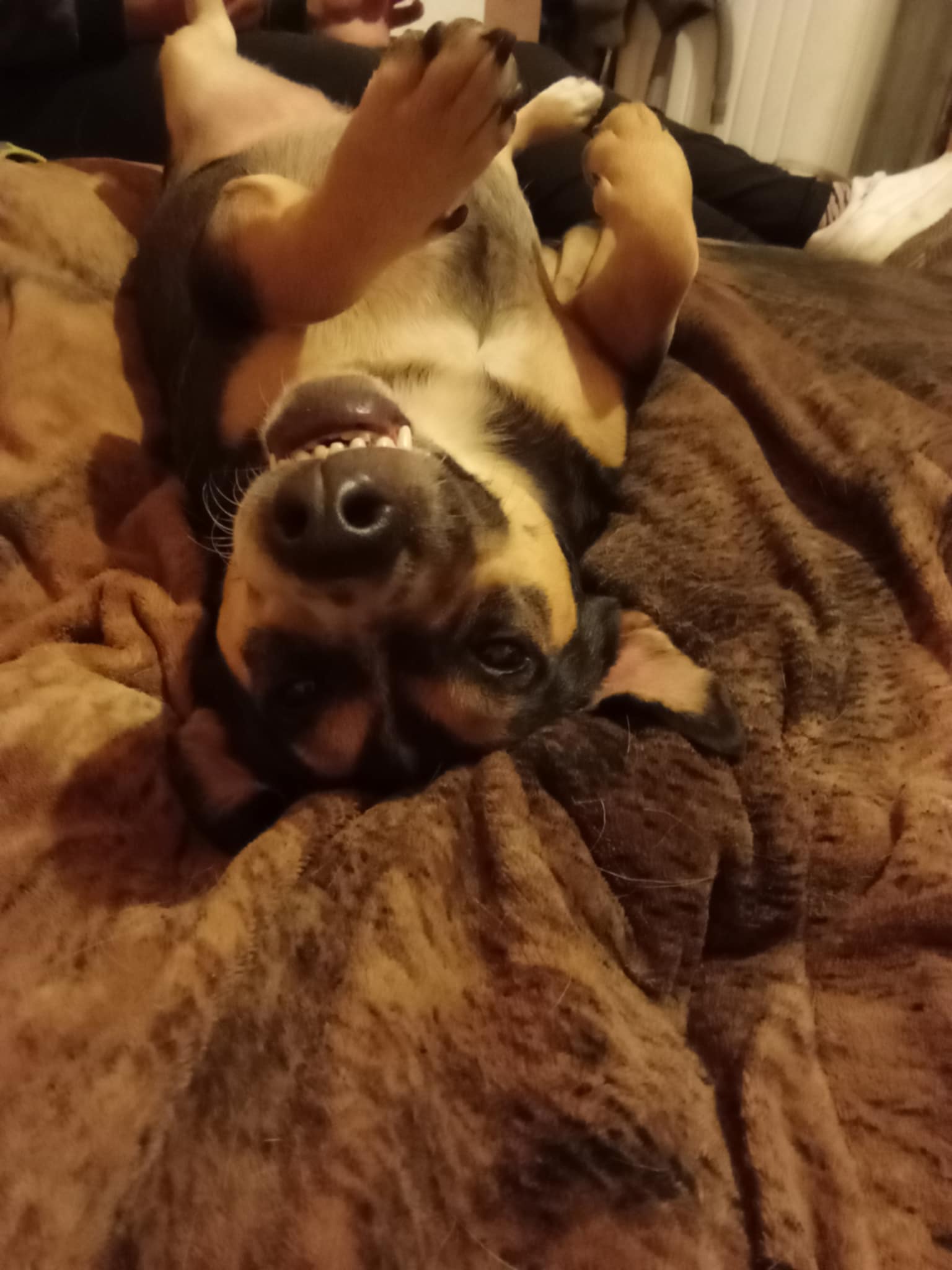 Obrázok galérie článku