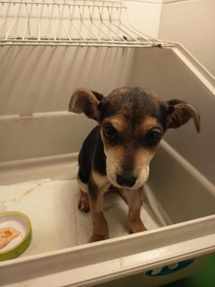 Obrázok galérie článku