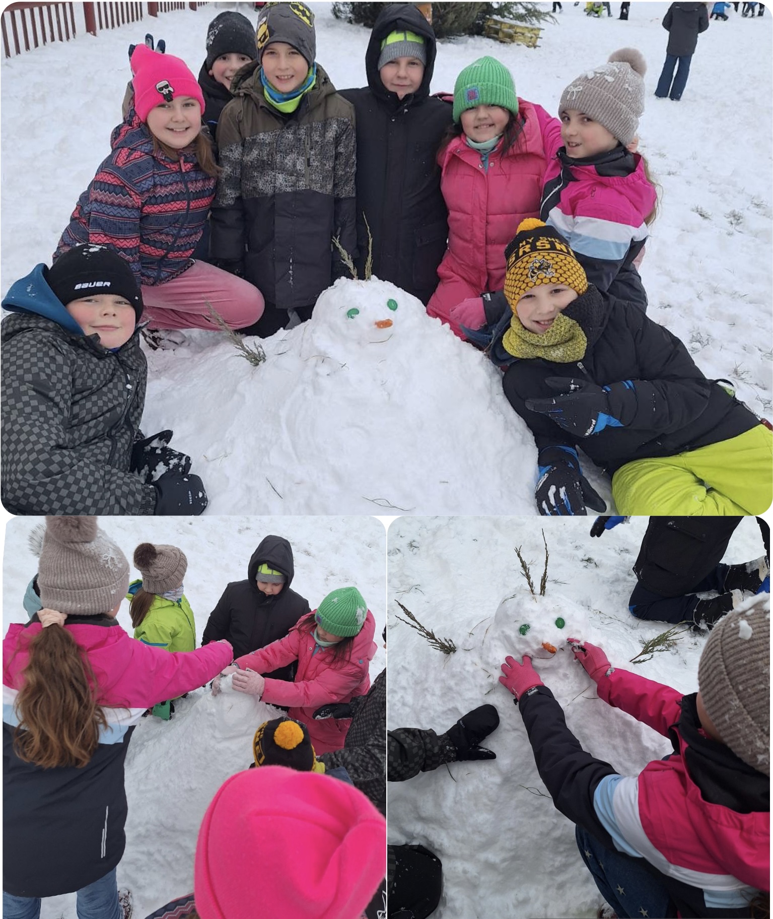 Obrázok galérie článku