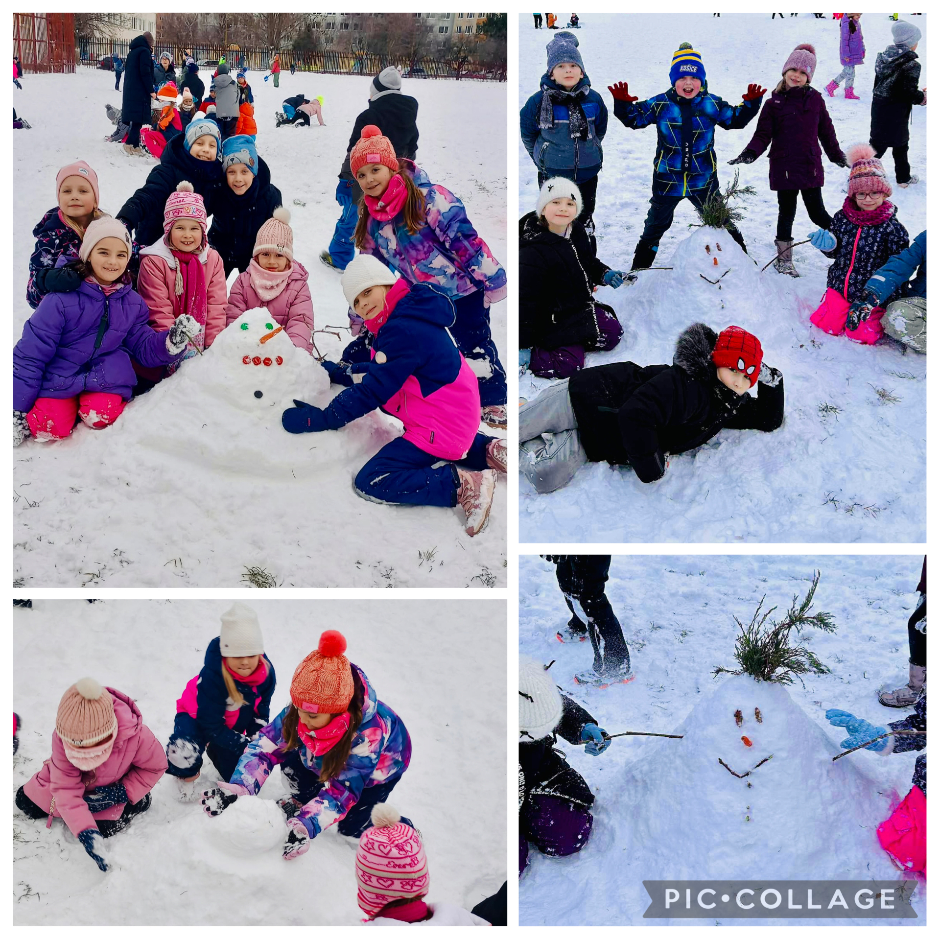 Obrázok galérie článku