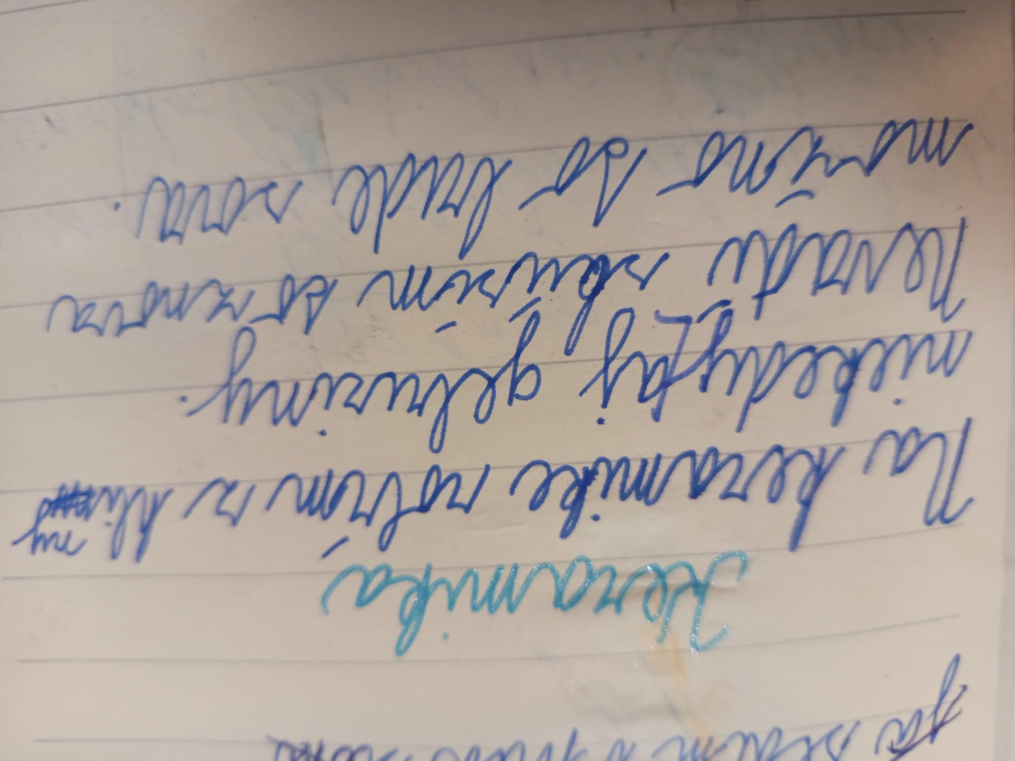 Obrázok galérie článku