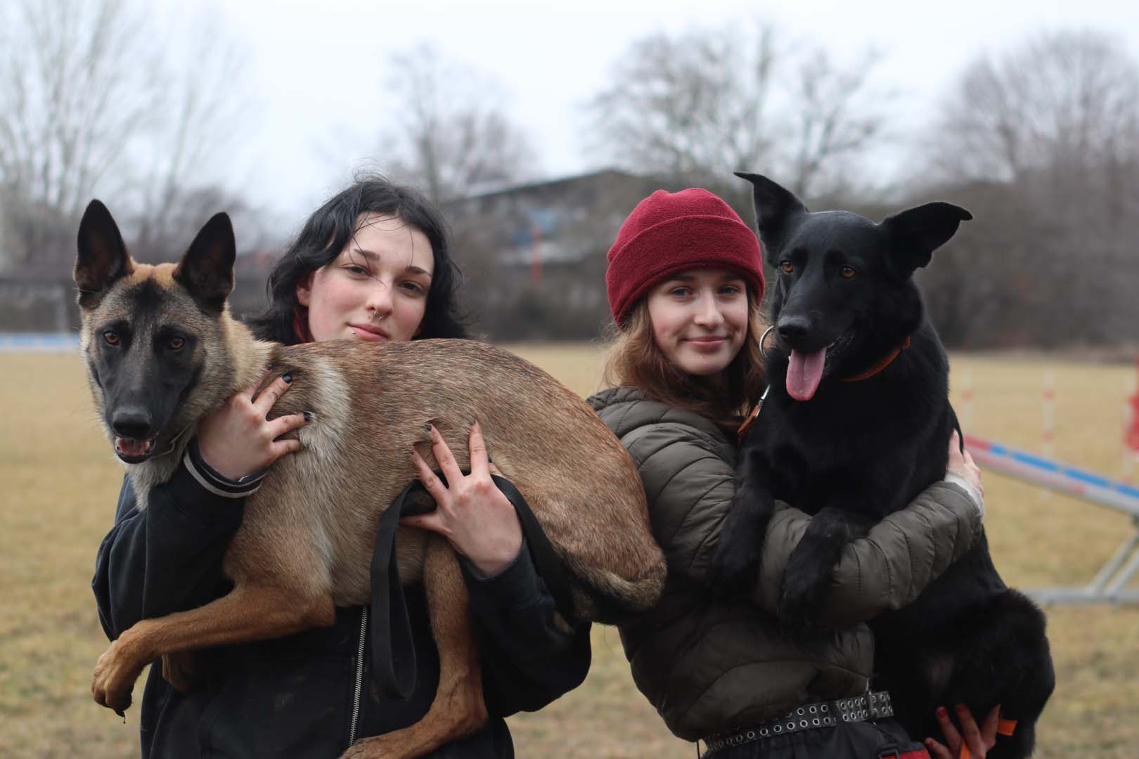 Obrázok galérie článku