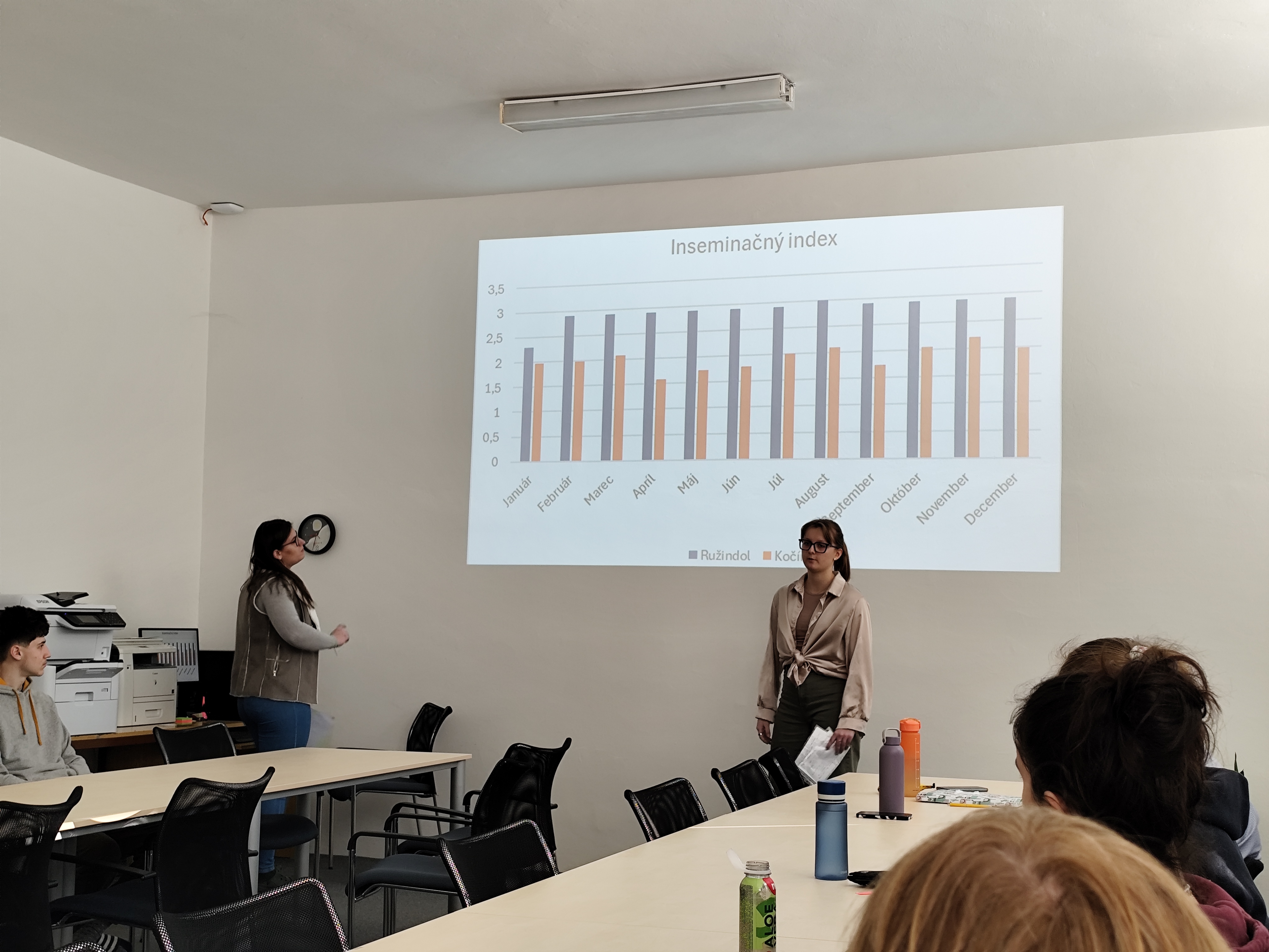 Obrázok galérie článku