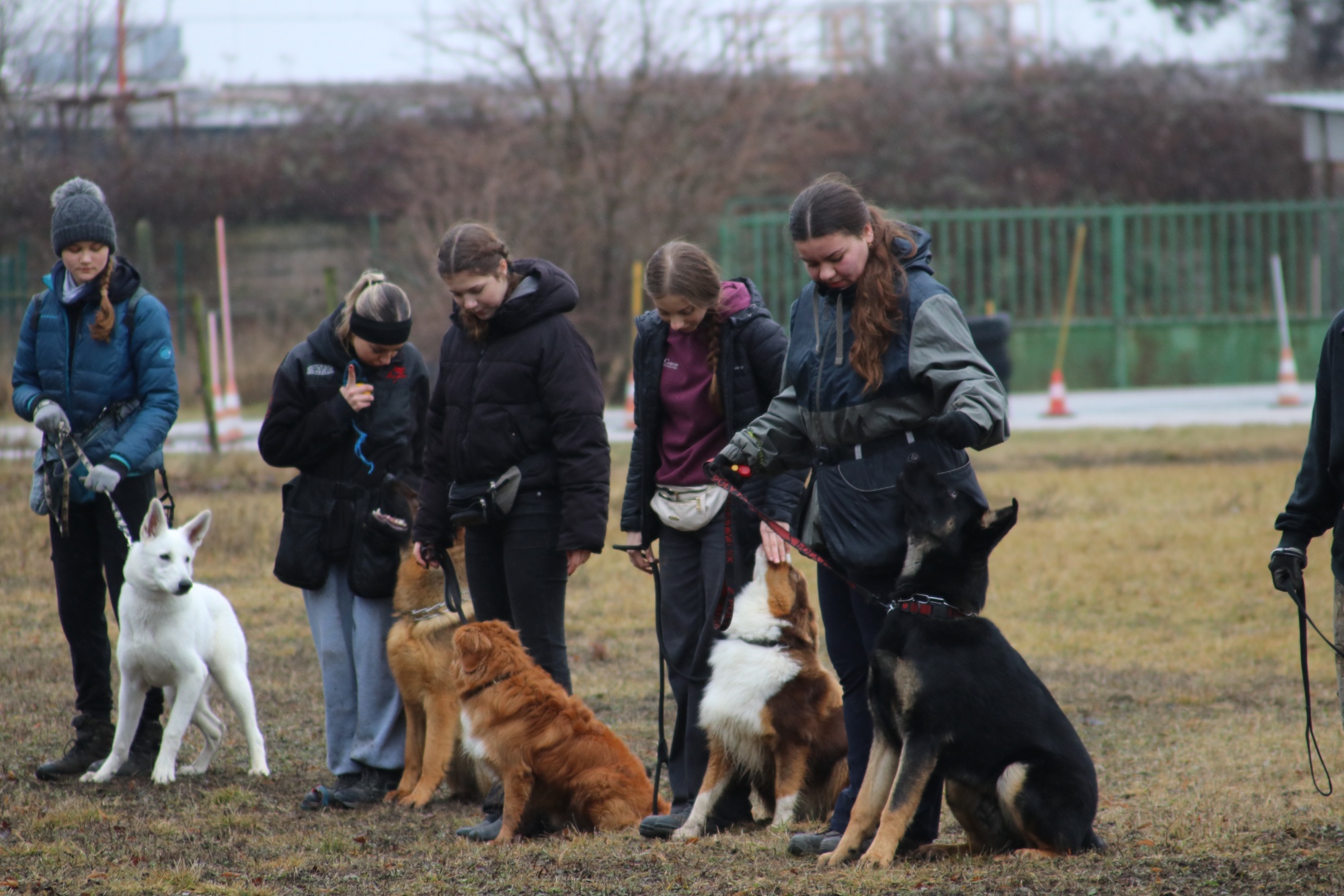 Obrázok galérie článku