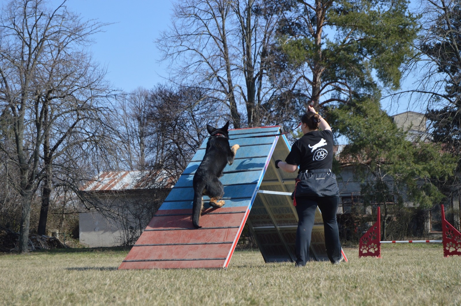 Obrázok galérie článku