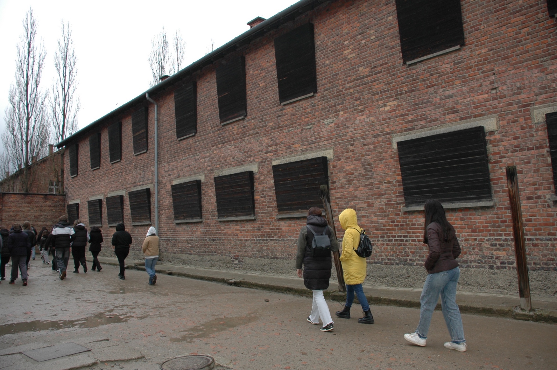 Obrázok galérie článku